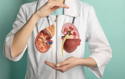 요로결석의 치료