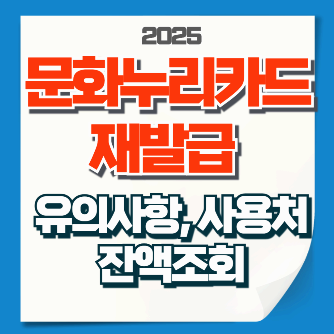 2025 문화누리카드 재발급 이것만 확인! (+유의사항,사용처,잔액조회까지)