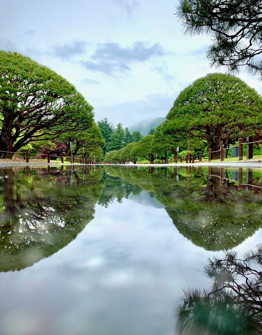 청남대 예약 신청