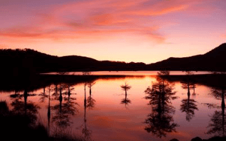 신생아특례대출 조건 및 한도