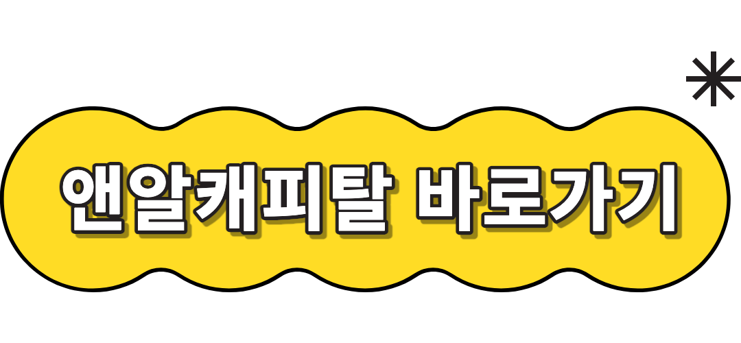 앤알캐피탈