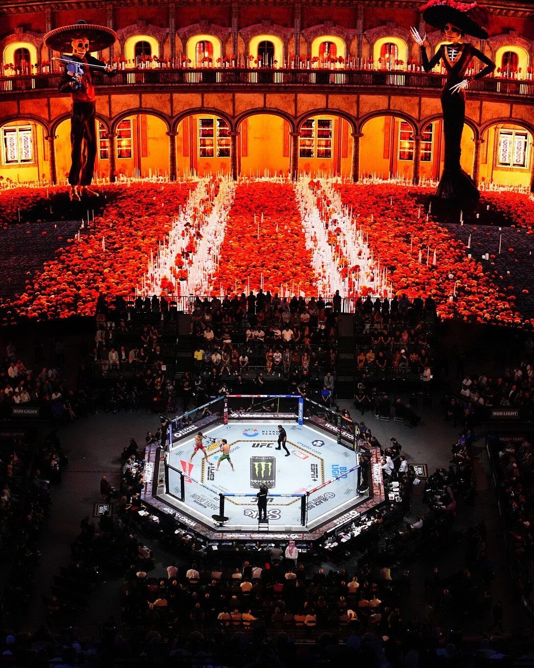UFC 306