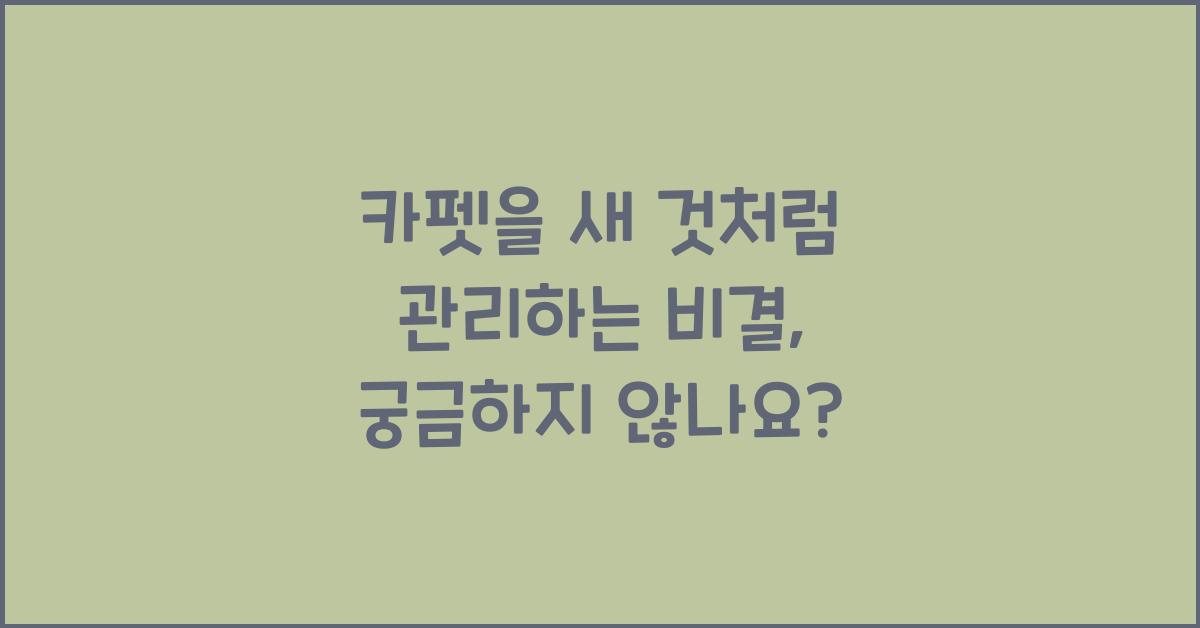 카펫을 새 것처럼 관리하는 비결
