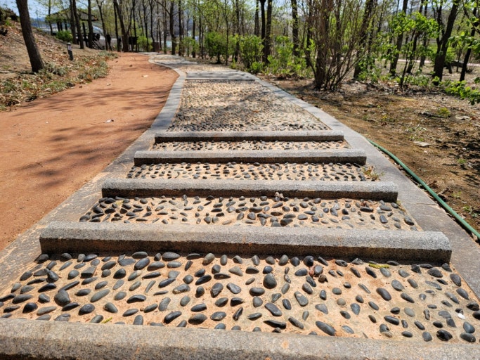 자연 속 힐링! 안동 천년숲 황토길 맨발걷기 체험 후기 관련 사진