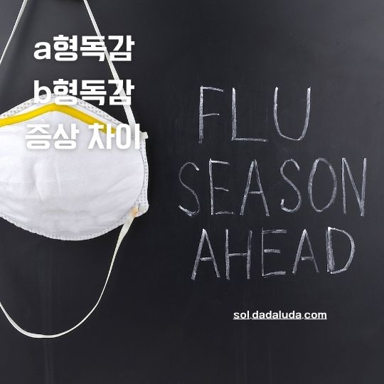 a형독감 b형독감 증상 차이 격리기간