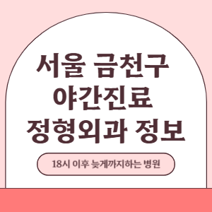 서울 금천구 야간진료 정형외과 병원 (18시 이후 늦게까지하는 병원)