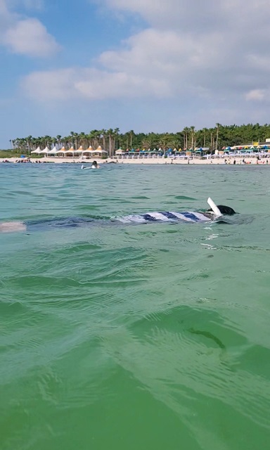 제주서쪽여행-스노클링-3대장-월령포구-협재해수욕장-금능해수욕장
