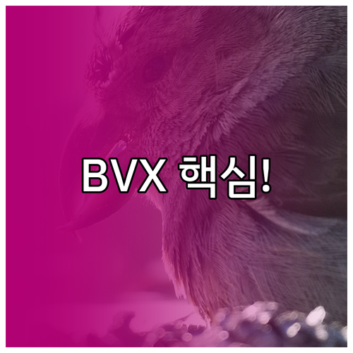 비트코인 변동성 지수(BVX) 해석 ..