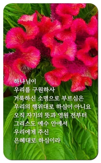 디모데후서 3장 16절 해석 - 모든 성경은 하나님의 감동으로 된 것으로_17