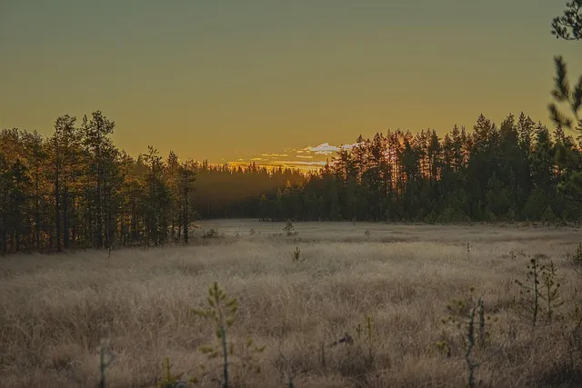 평택지제역 SRT 기차 시간표 확인과 예매 노하우 소개_3