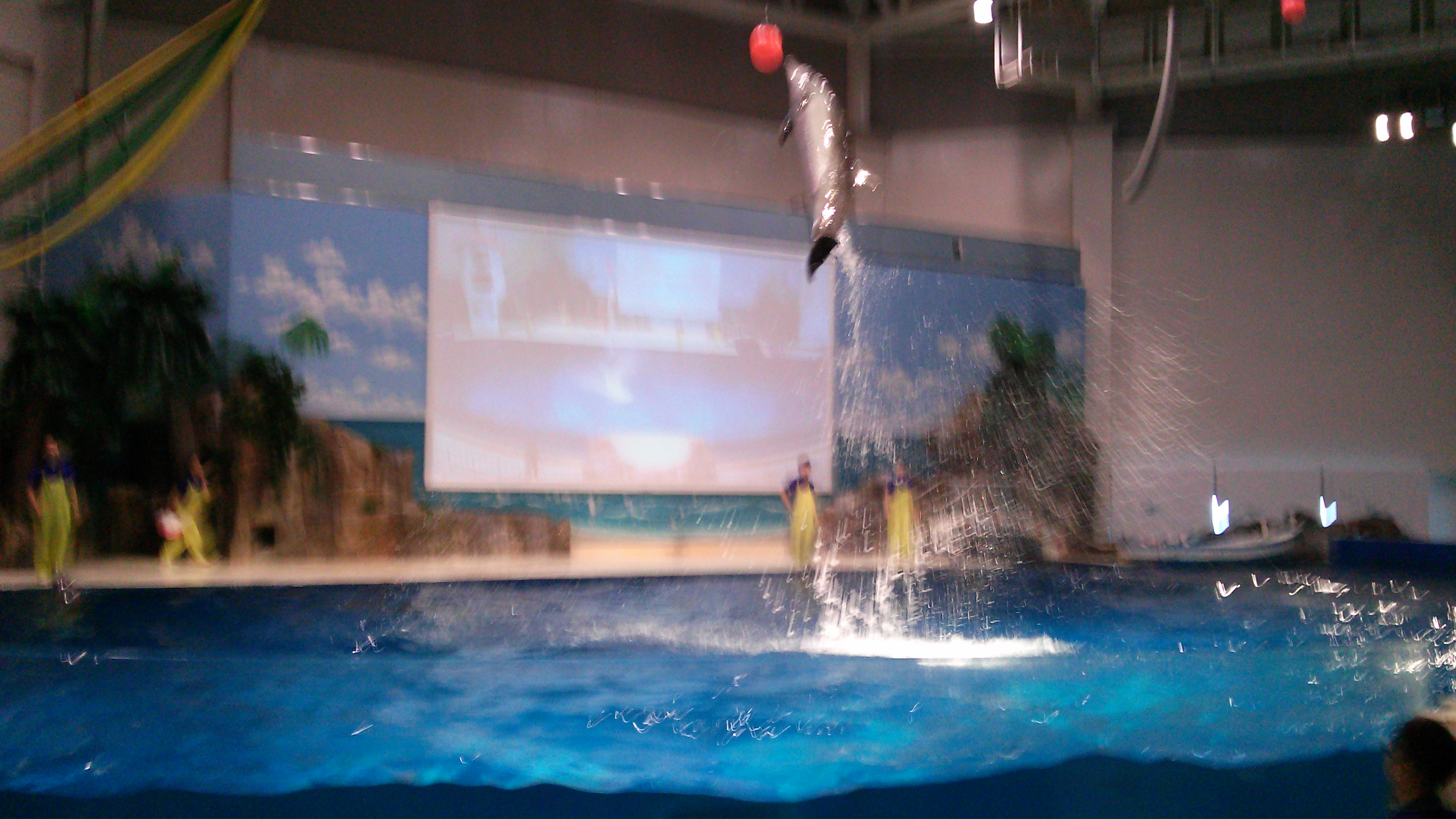 아쿠아플라넷 제주