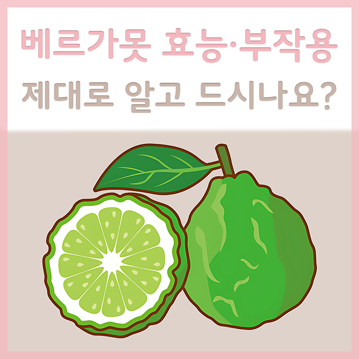 베르가못의-단면