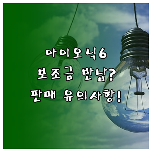 아이오닉6 전기차 보조금 의무 운행 ..