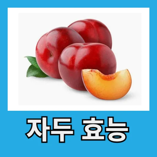 자두 효능