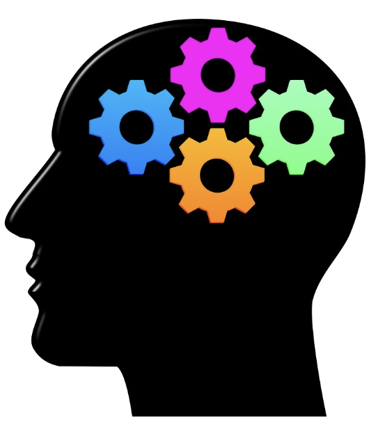 의지력 향상에 중요한 장내 세균의 종류