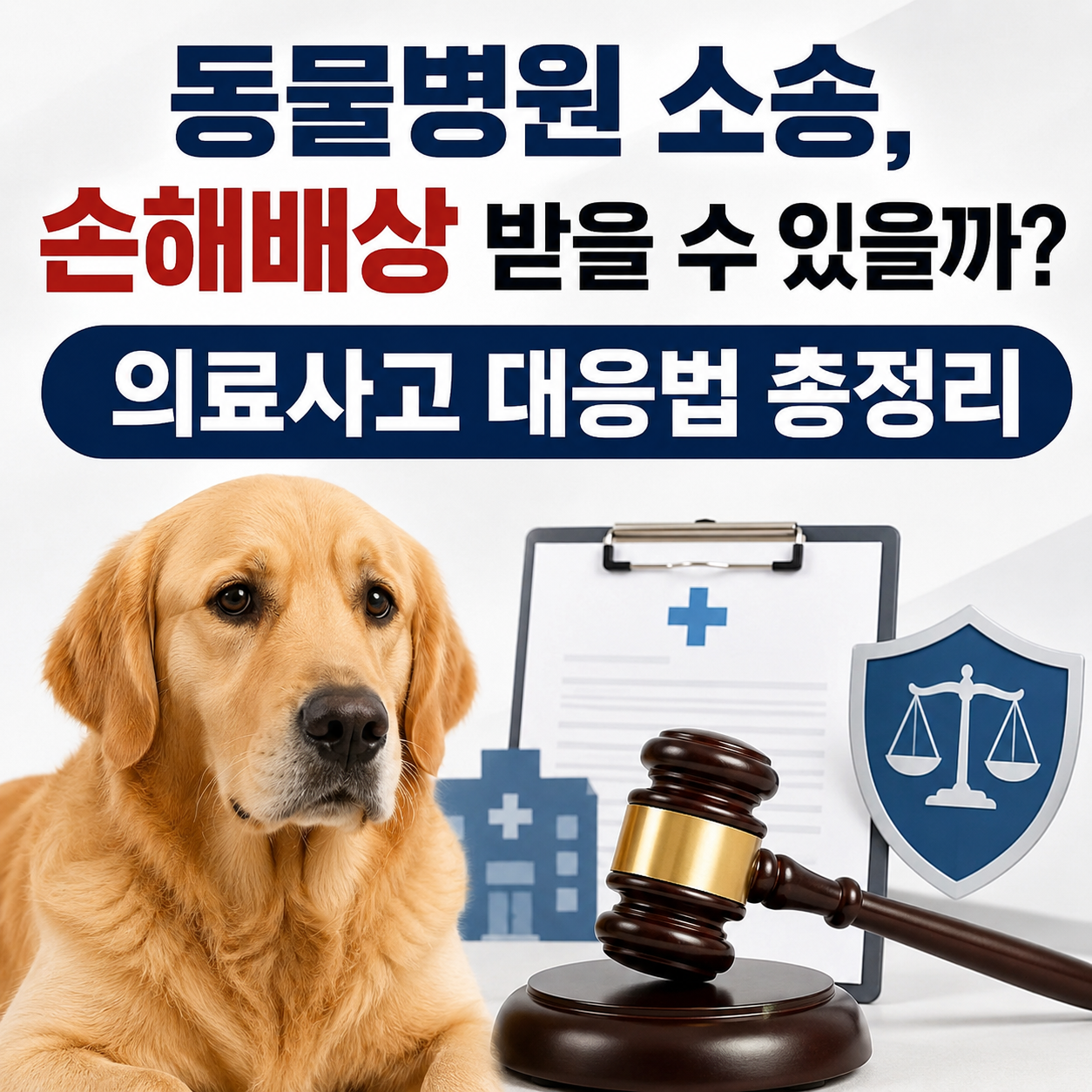 동물병원 소송
