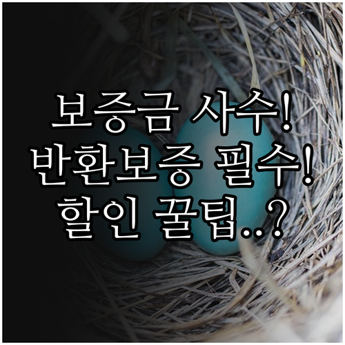 전세보증금 반환보증 신청 자격 보증료..