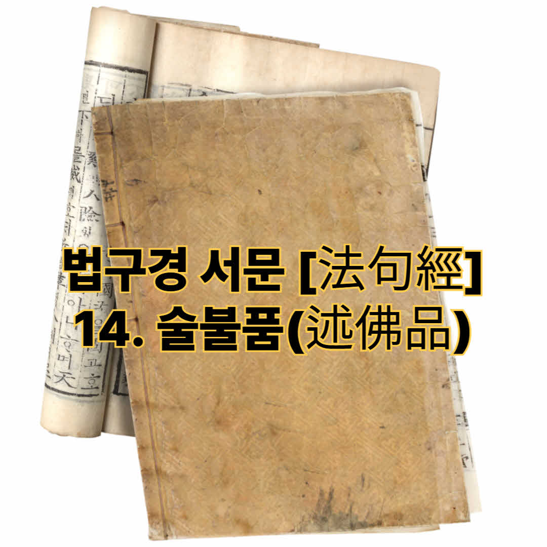법구경 서문 [法句經] - 14. 술불품(述佛品)