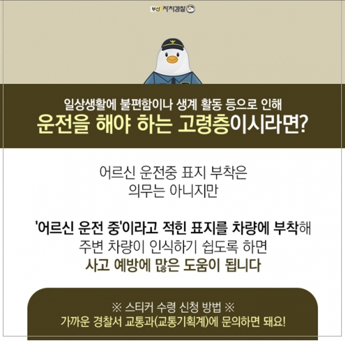 부산시 운전면허 반납 혜택 안내