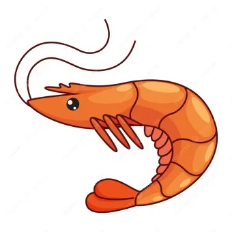 새우 요리 11가지 황금레시피_3