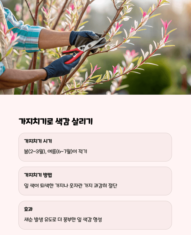 삼색 버드나무 가지치기