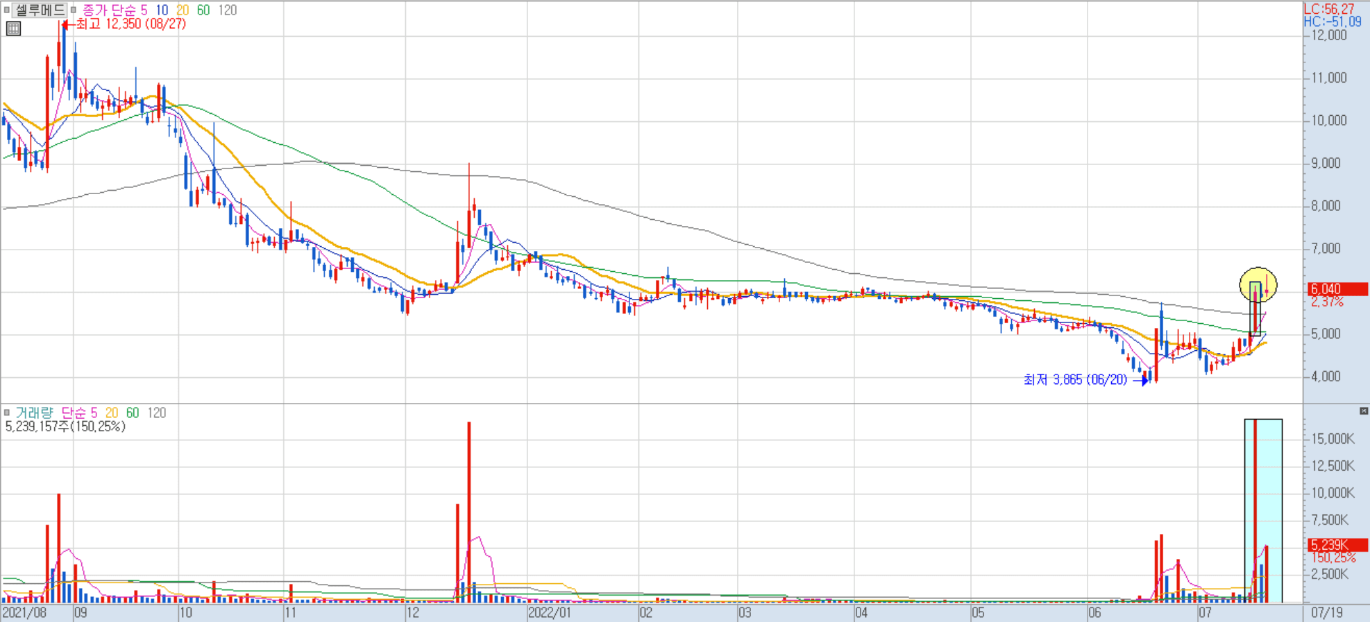 셀루메드 일봉 차트