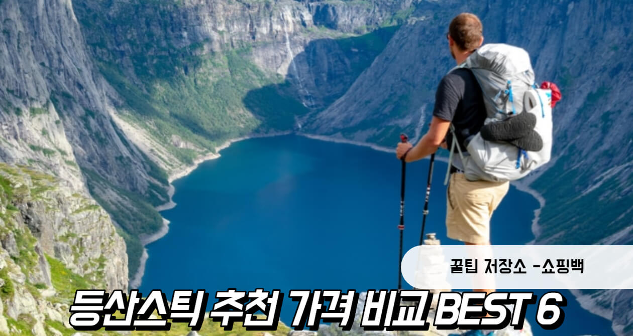 등산스틱 추천 가격 비교 BEST 6