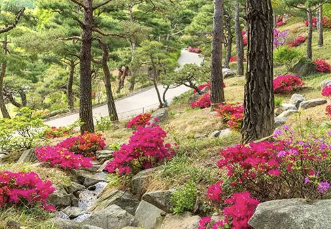 화담숲
