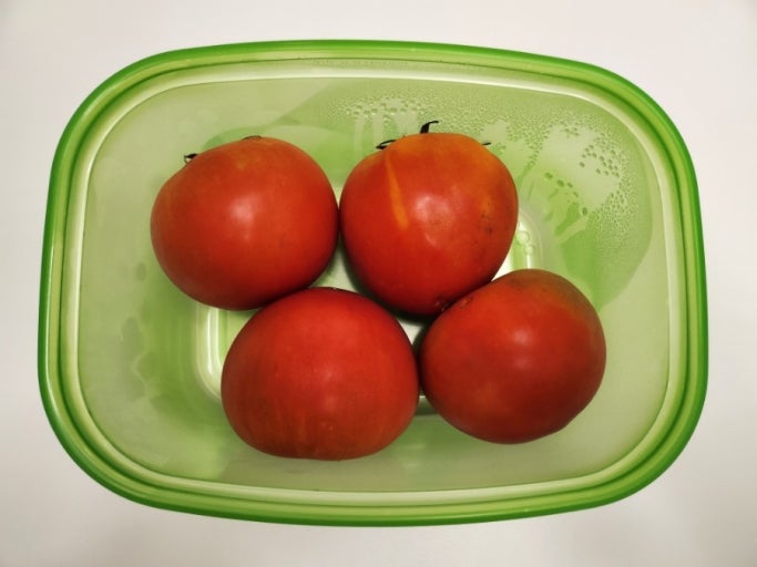 "데비마이어 그린박스" 사용 후 버리는 음식이 없어졌어요! 냉장고 속 혁명템 사용 후기!