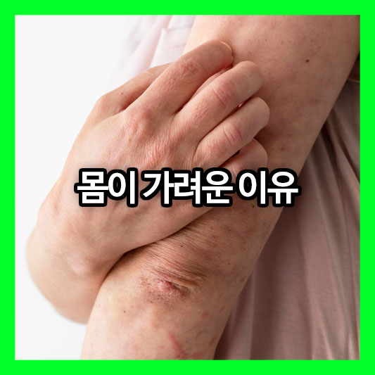 몸이 가려운 이유