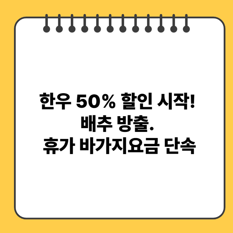한우 50% 할인 시작! 배추 방출. 휴가 바가지요금 단속