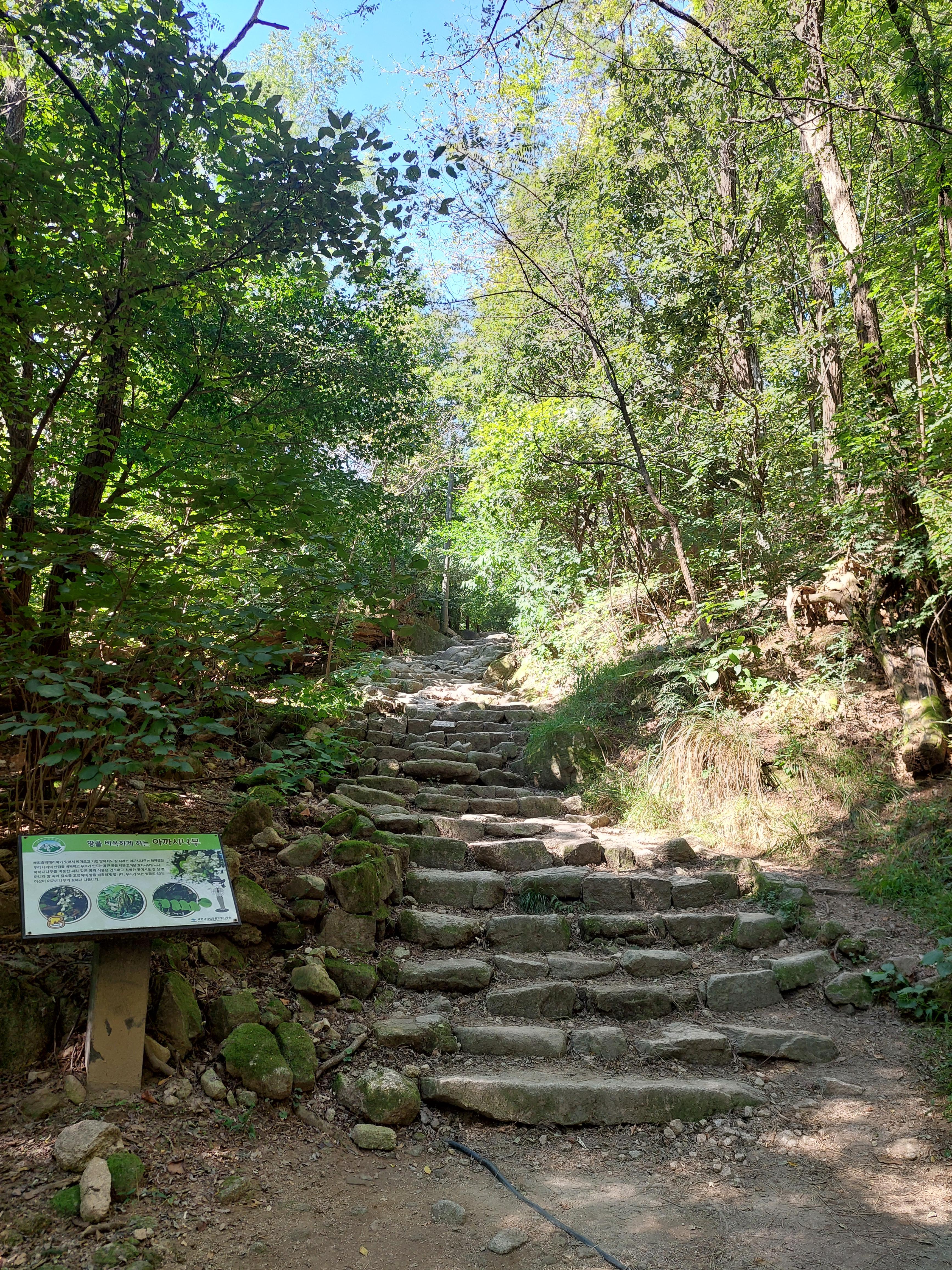 도봉산