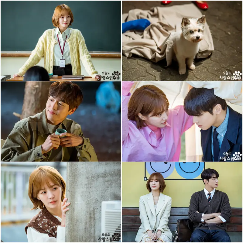 오늘도 사랑스럽개 주요 등장인물이 등장하는 장면들