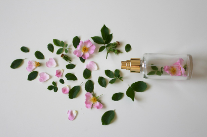 섬유유연제·향기 성분이 아기 기분에 미치는 영향 (후각 자극과 신경 안정성)