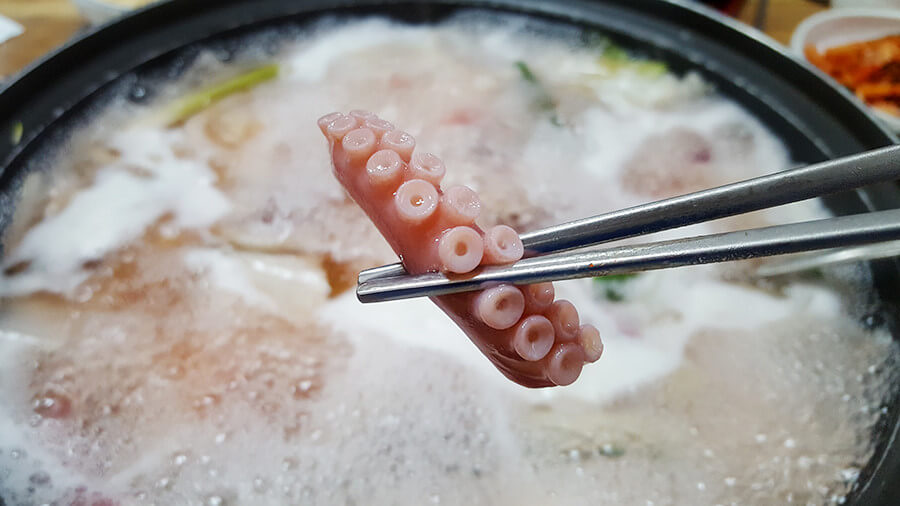 생생정보통 박속낙지탕 경기 광명 맛집 정보