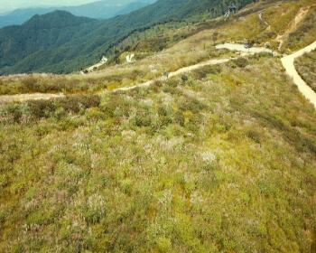 황매산 오토캠핑장_21