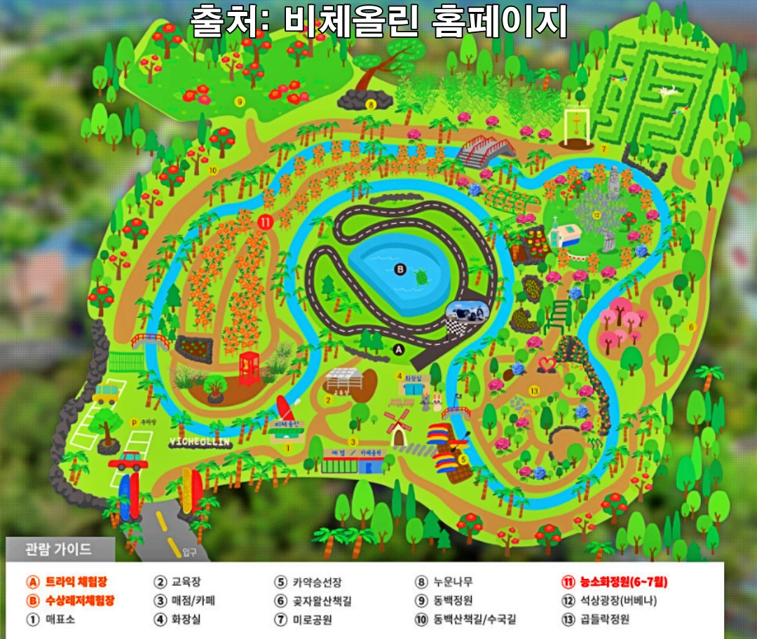 비체올린 내부의 모습을 꽃과 나무 카약장 도로등 그림으로 그렸다.