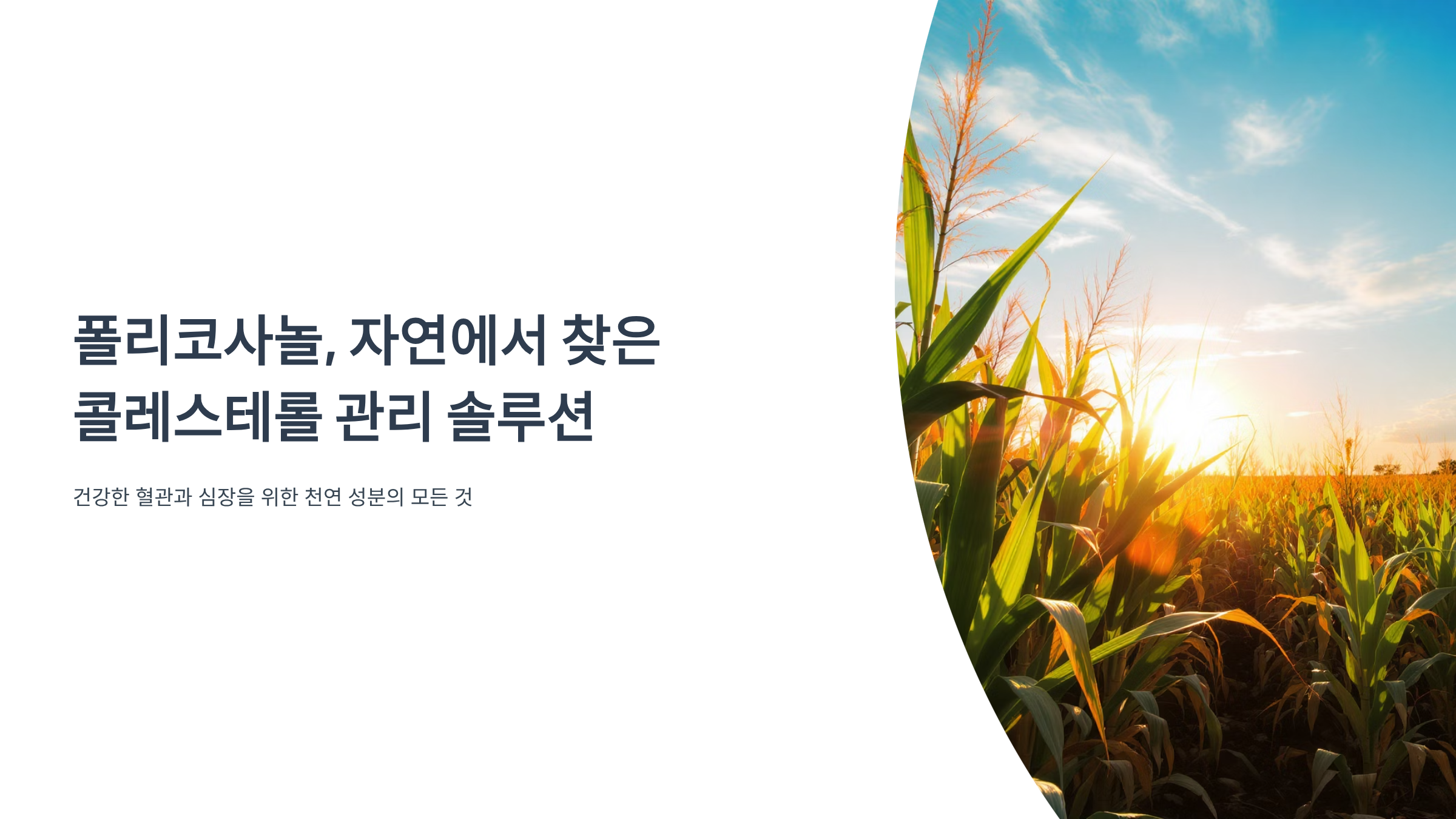 폴리코사놀 콜레스테롤 개선 효과