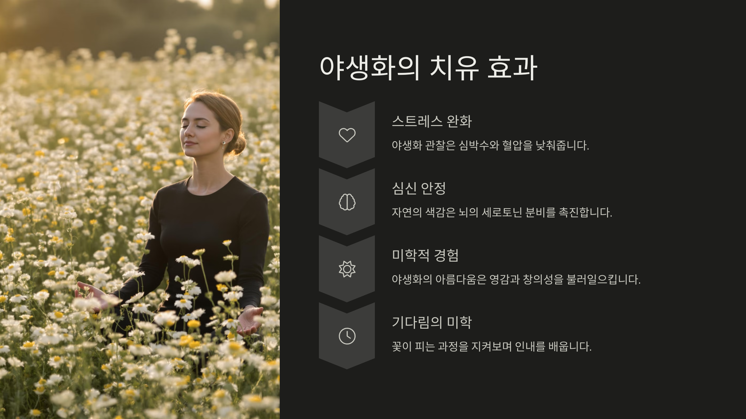 봄꽃 종류 야생화 종류 정리