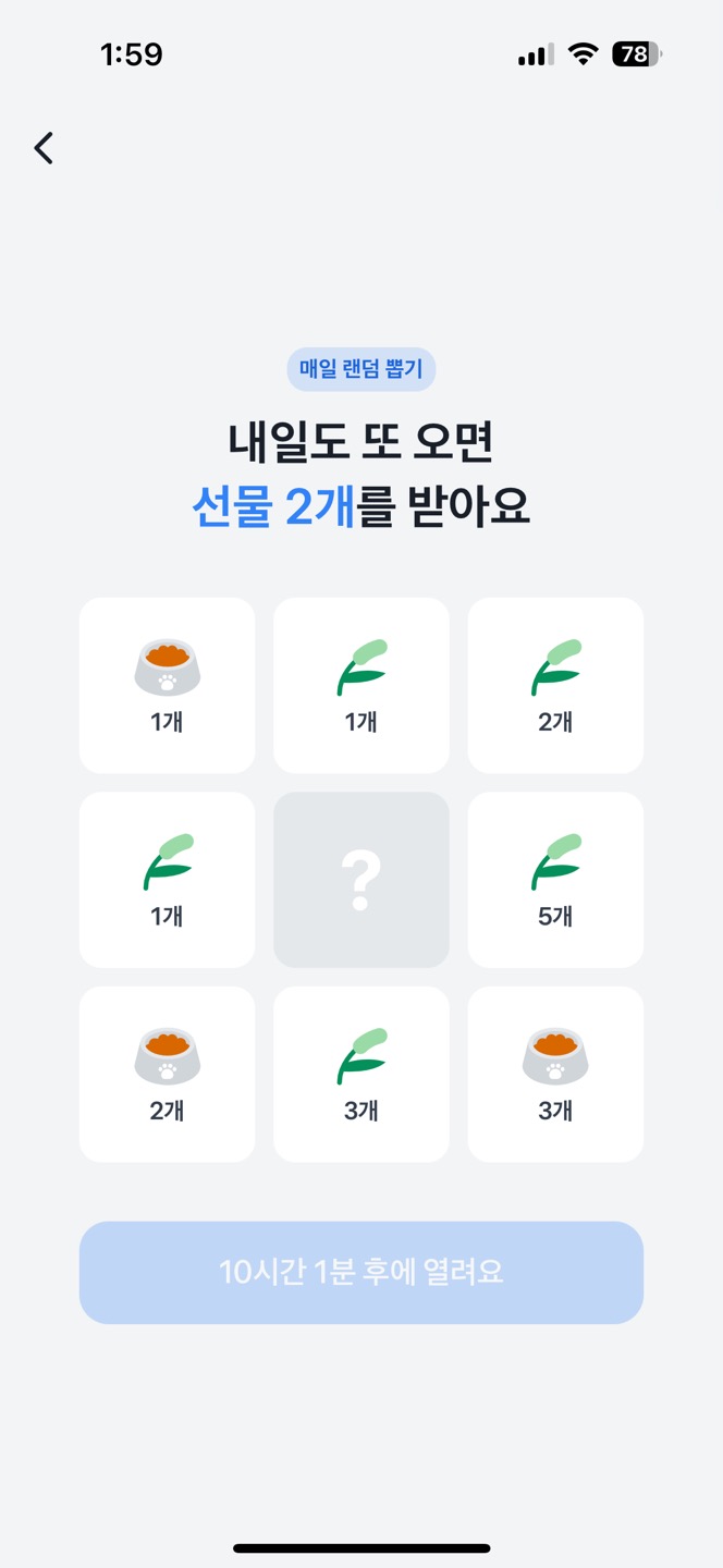 고양이키우기