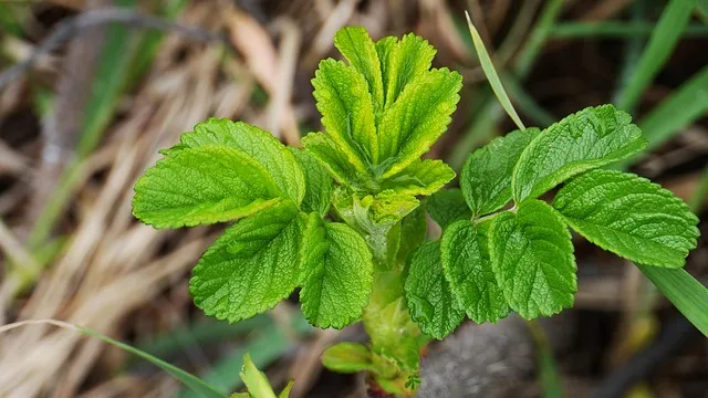 생생정보 연안부두 횟집 60첩반상 위치 예약 정리_2