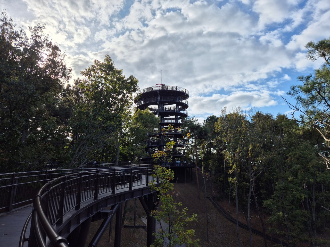 생생정보 택시맛객