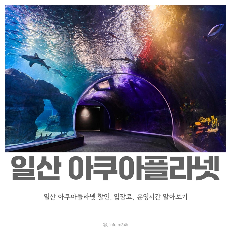 일산-아쿠아플라넷-할인-입장료-가격-운영시간