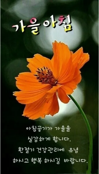 가을 인사말 문구 모음 정리_4