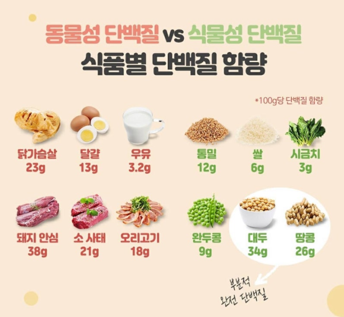 알부민 많은 음식