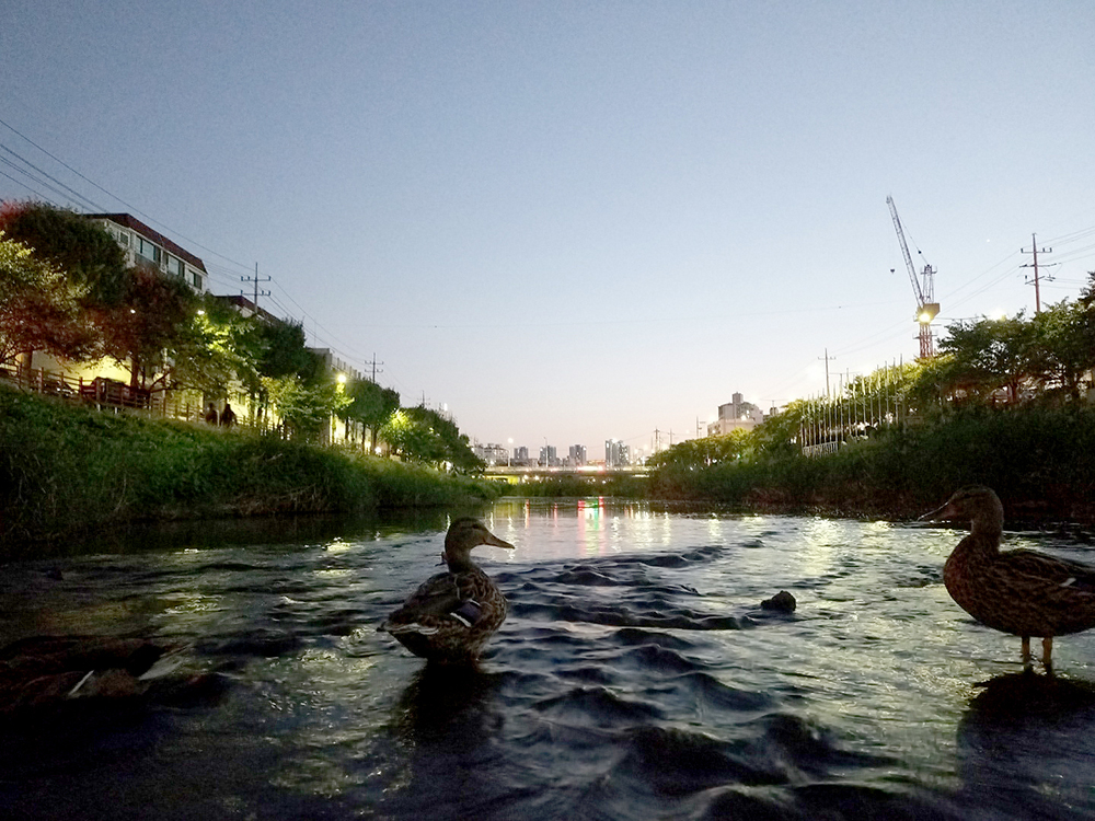 은평구 SNS 콘텐츠 공모전: 은평이 그리는 내일 불광천