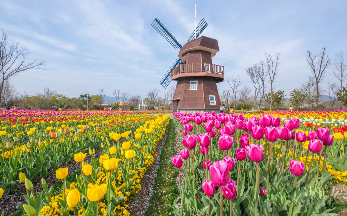 2025 건강도시 스탬프 투어