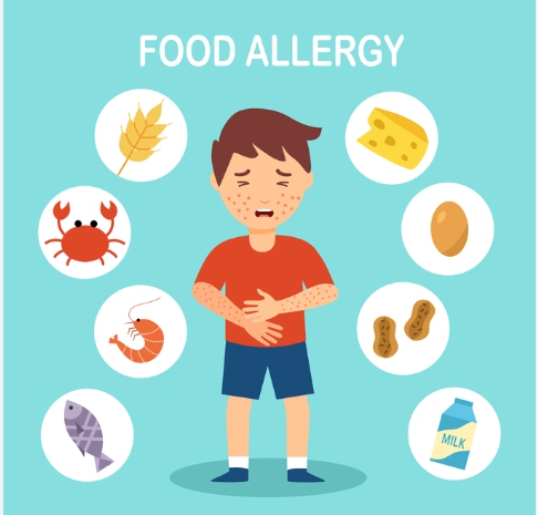음식 알레르기 참고자료
