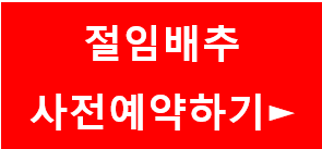 절임배추 사전예약하기
