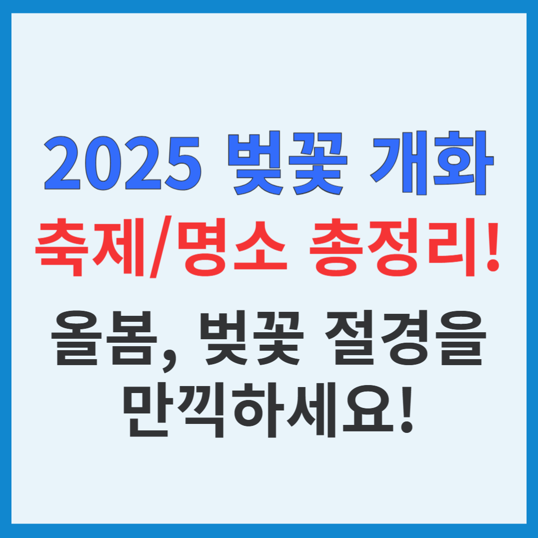 2025년 벚꽃 개화 및 만개 시기, 벚꽃 축제 총정리(+ 벚꽃 명소 추천)